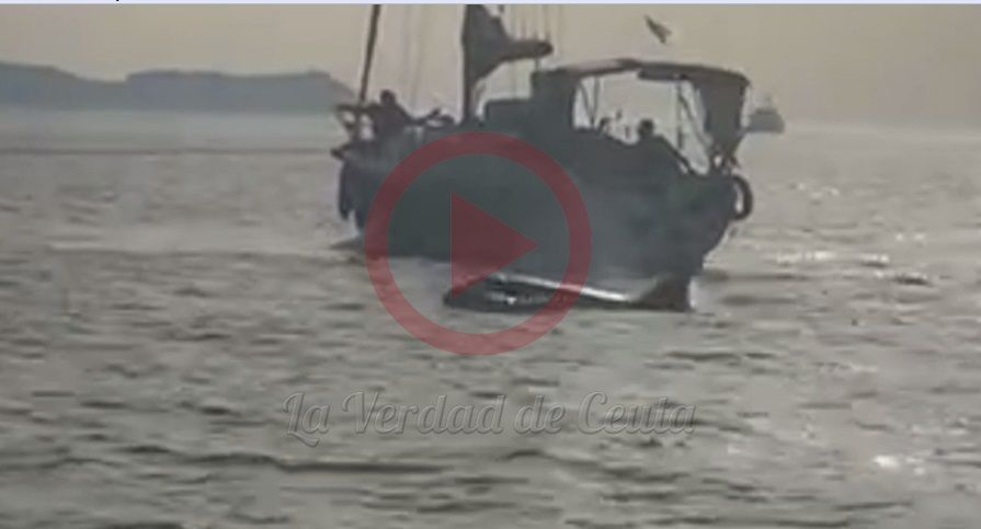 Ataque de orcas a un velero en Benítez (con video)